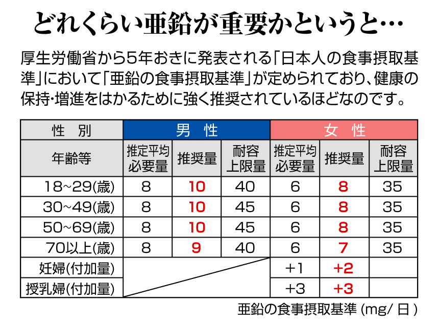 どれくらい亜鉛が重要かというと・・・　厚生労働省から5年おきに発表される「日本人の食事摂取基準」において「亜鉛の食事摂取基準」が定められており、健康の保持・増進をはかるために強く推奨されているほどなのです。